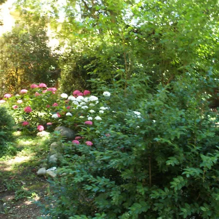 Bed & Breakfast Ghia Parma