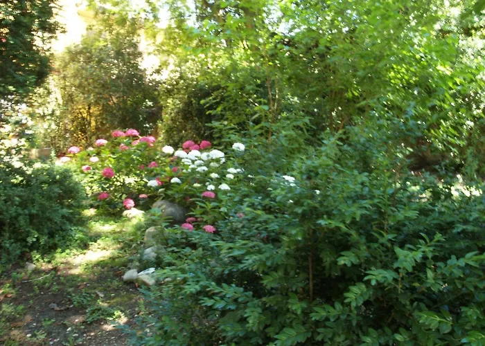 Готель типу 