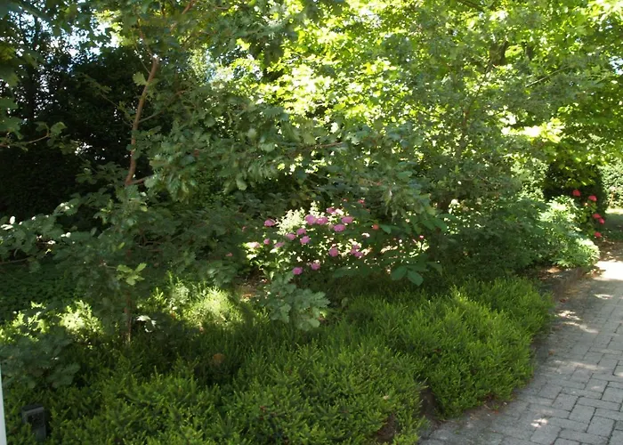 Ghia Готель типу 